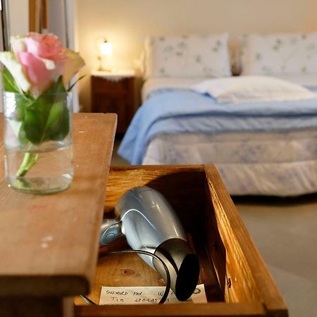 B&B Paradiso N.4 เซียนา ภายนอก รูปภาพ